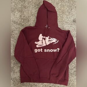 Snowmobiling Got Snow Hoodie